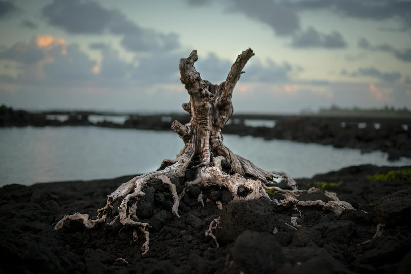 Linux Containers Internals: chroot Again