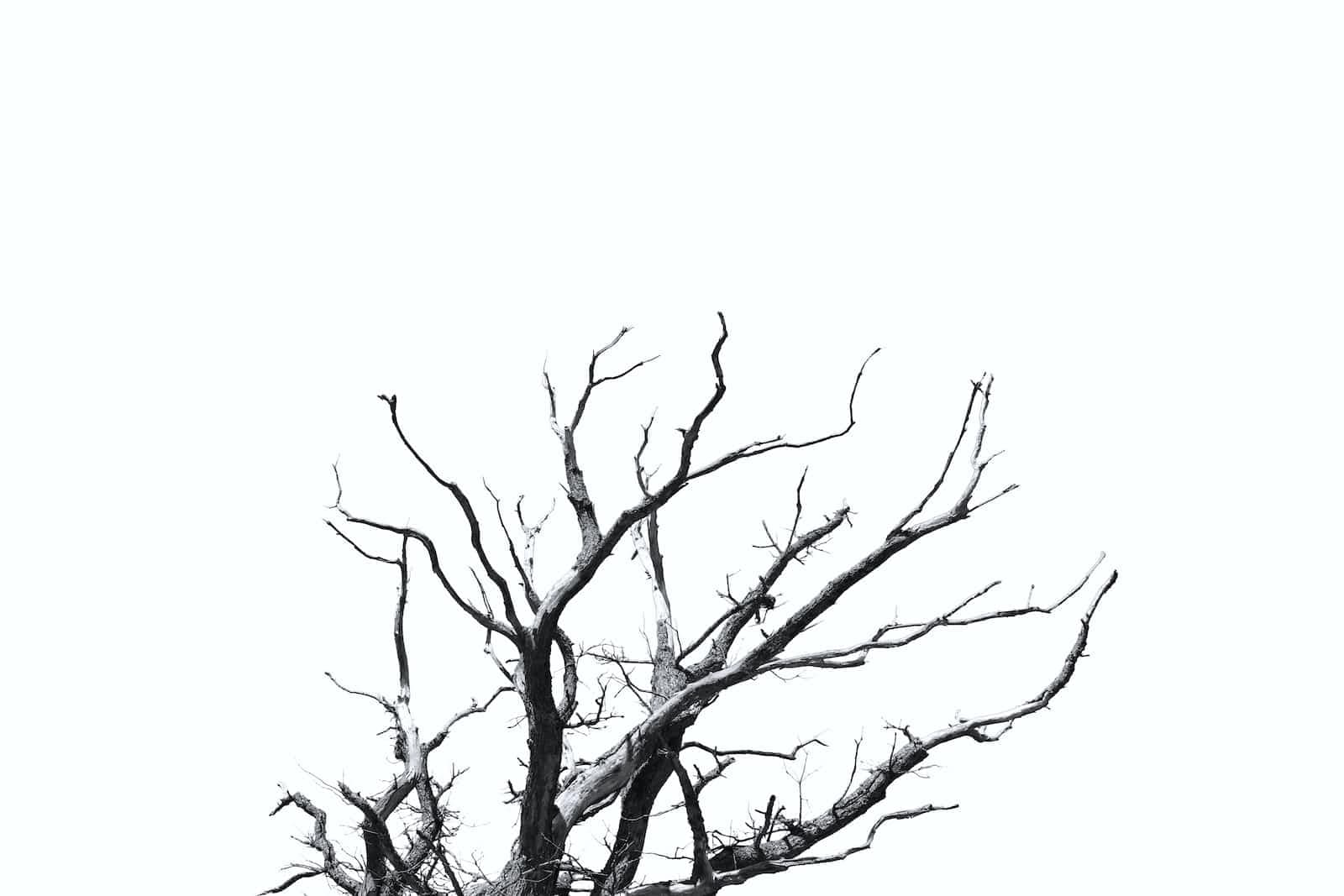 Linux Containers Internals: chroot